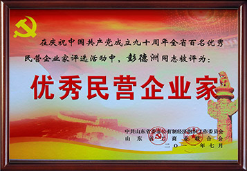 2011年山(shān)东省优秀民(mín)营企业家