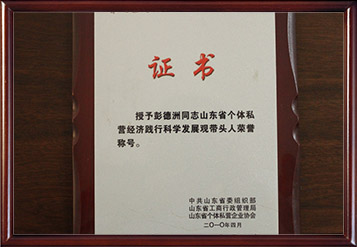 2008年山(shān)东省个體(tǐ)私营经济践行科(kē)學(xué)发展观带头人