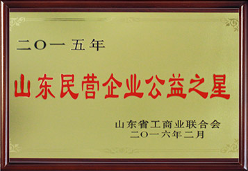 2015年山(shān)东民(mín)营企业公益之星