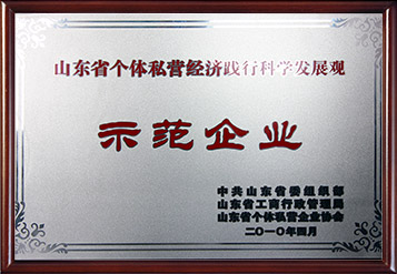 2010年山(shān)东省个體(tǐ)私营经济践行科(kē)學(xué)发展观示范企业