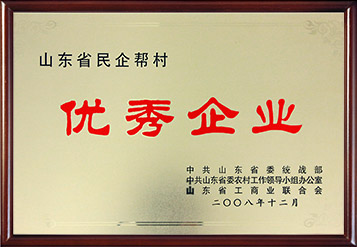 2008年山(shān)东省民(mín)企帮村优秀企业